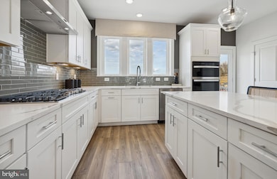 4726 Bellrock Aly, Ten Mile Creek, MD 20841 - photo 3