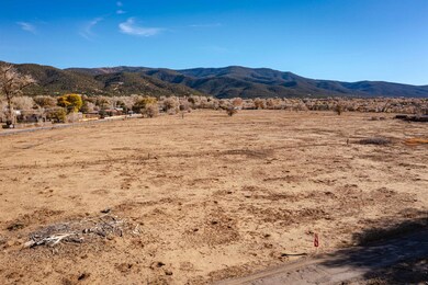 520 Kit Carson Rd, Taos, NM 87571 - photo 4