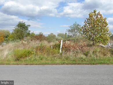 3 Sassafras Ln, Wardensville, WV 26851 - photo 4