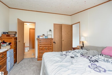 3700 N Brinton Rd, Weidman, MI 48893 - photo 7