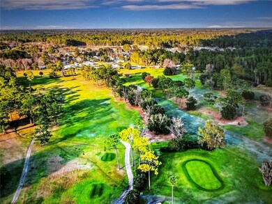 260 Live Oak Loop, Crescent City, FL 32112 - photo 5