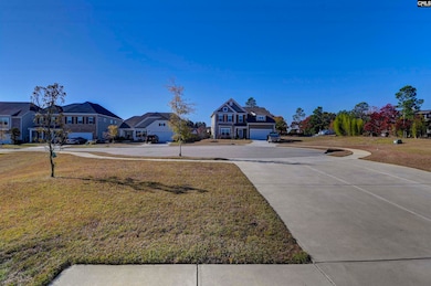 3046 Cannon Place, Elgin, SC 29045 - photo 4