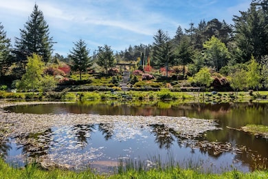 40811 Eureka Hill Rd, Point Arena, CA 95468 - photo 7