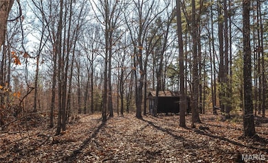 0 Deason Drive-Tract 1, Licking, MO 65542 - photo 5