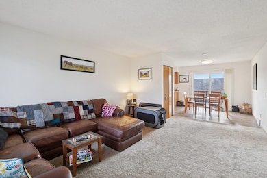 213 W Garfield St, Mount Horeb, WI 53572 - photo 7