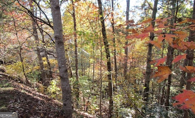 17 Dach Bruecke Gasse, Helen, GA 30545 - photo 4