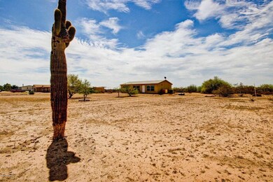 Prickly Pear (7)