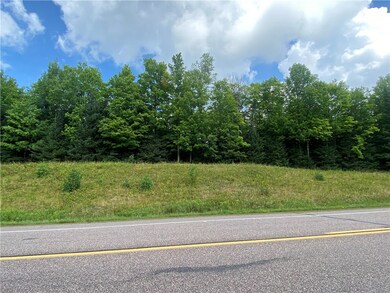 On Pixley Shores Rd, Fifield, WI 54524 - photo 6