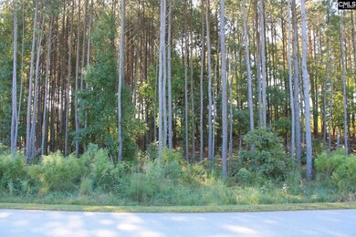 0 Clouds Creek Cir, Leesville, SC 29070 - photo 5