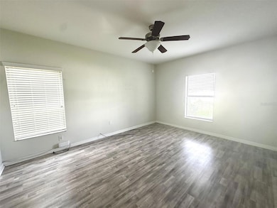 20031 Date Palm Way, Tampa, FL 33647 - photo 4