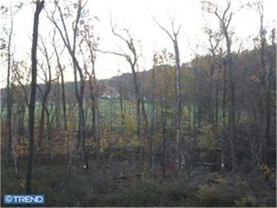 2115 Jacobs Sawmill Rd, East Greenville, PA 18041 - photo 5