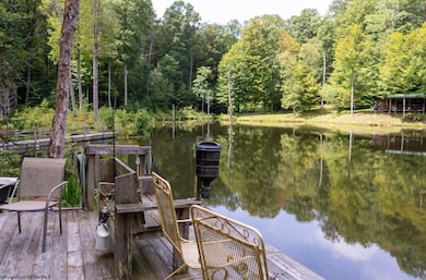 180 Thorpe Mountain Ln, Tallmansville, WV 26237 - photo 2