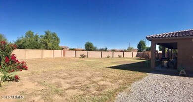 Large Backyard