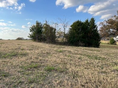 6264 Overlook Point, Athens, TX 75752 - photo 4