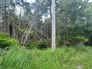 Lot 8