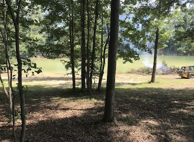 363 Devon Way Rd, White Pine, TN 37890 - photo 7