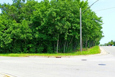 0 Lewis Ave unit 8972157, Zion, IL 60099 - photo 6