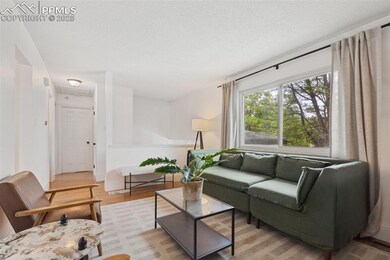 814 Paradise Ln, Colorado Springs, CO 80904 - photo 6