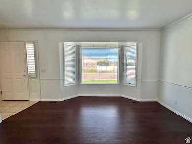 Foyer featuring plenty of natural light, dark wood finished floors, ornamental molding, and a textured ceiling