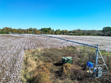 547 Joe Lawrence Rd, Ashburn, GA 31714 - photo 2