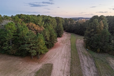 640 County Road 4910, Troup, TX 75789 - photo 2