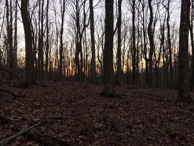 1380 Overlook Cir, Cookeville, TN 38506 - photo 7