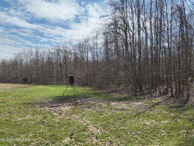 DJI_20250303113137_0009_V