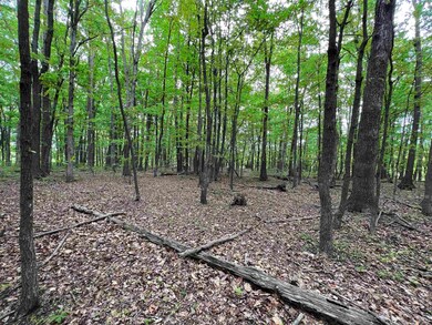 TBD Land Grant Rd, Mount Jackson, VA 22842 - photo 5