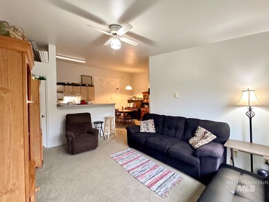 223 Baker St, Moscow, ID 83843 - photo 6