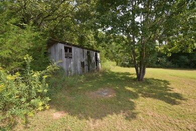 1076 Cedar Creek Rd, Linden, TN 37096 - photo 4