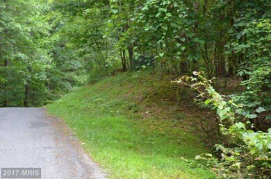 0 Lee Rd unit 1002574514, Basye, VA 22810 - photo 2