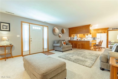 90480 Kilgore Ridge Rd, Scio, OH 43988 - photo 7