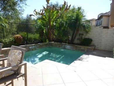 Backyard Pool