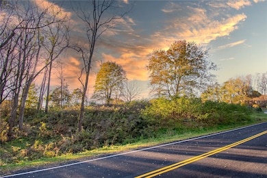 9 Rabbit Run, East Bloomfield, NY 14469 - photo 7