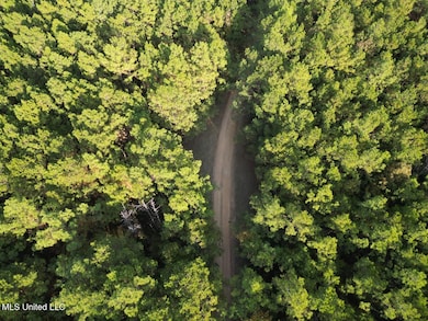 1 Will Floyd Rd, Crosby, MS 39633 - photo 3