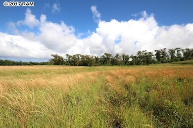 1 Paholei Rd, Makawao, HI 96768 - photo 2