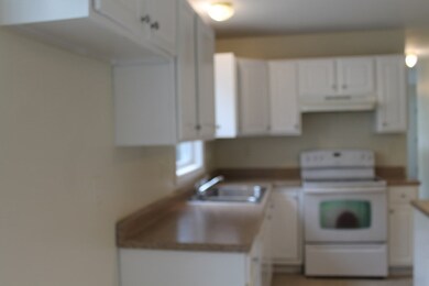 25 Indian Leap St unit 27, Indian Orchard, MA 01151 - photo 5