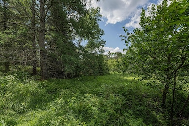 Off U S 45 unit 2, Three Lakes, WI 54562 - photo 7