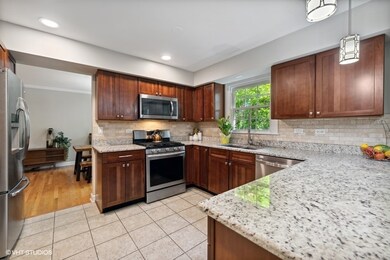 226 Tupelo Ave, Naperville, IL 60540 - photo 6