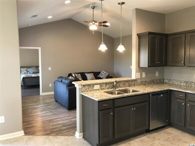 260 Maiden's Choice Rd unit Lot 16, Conway, SC 29527 - photo 7