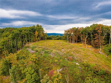 0 Russell Ln, Hamilton Township, PA 18360 - photo 4