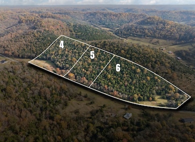 0 Club Springs Rd unit RTC3048631, Elmwood, TN 38560 - photo 2