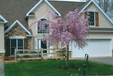 Scan0001.jpg