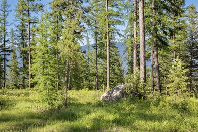 2600 Mountain Home Lot 17 Rd, Whitefish, MT 59937 - photo 6