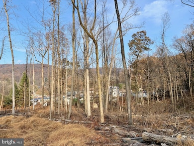 1738 Mount Laurel Rd, Temple, PA 19560 - photo 6