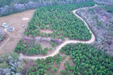 Lot 2 - TBD New Pine Rd, Johnsonville, SC 29555 - photo 3
