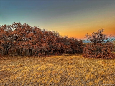 168 Colorado Land and Grazing, Gardner, CO 81040 - photo 6