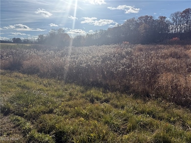 5089 Bayard Rd, Homeworth, OH 44634 - photo 5