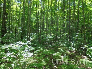 TBD E Shore Rd, Bergland, MI 49910 - photo 6
