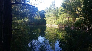 3782 Saint Ellens Dr, Mount Pleasant, SC 29466 - photo 3